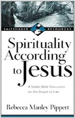 Spirituality according to Jesus (Saltshaker Resources)