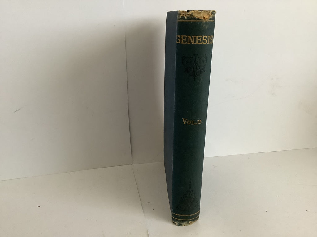 Genesis (John Gowan Collection)