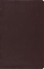 ESV Large Print Thinline Reference Bible (Brown)