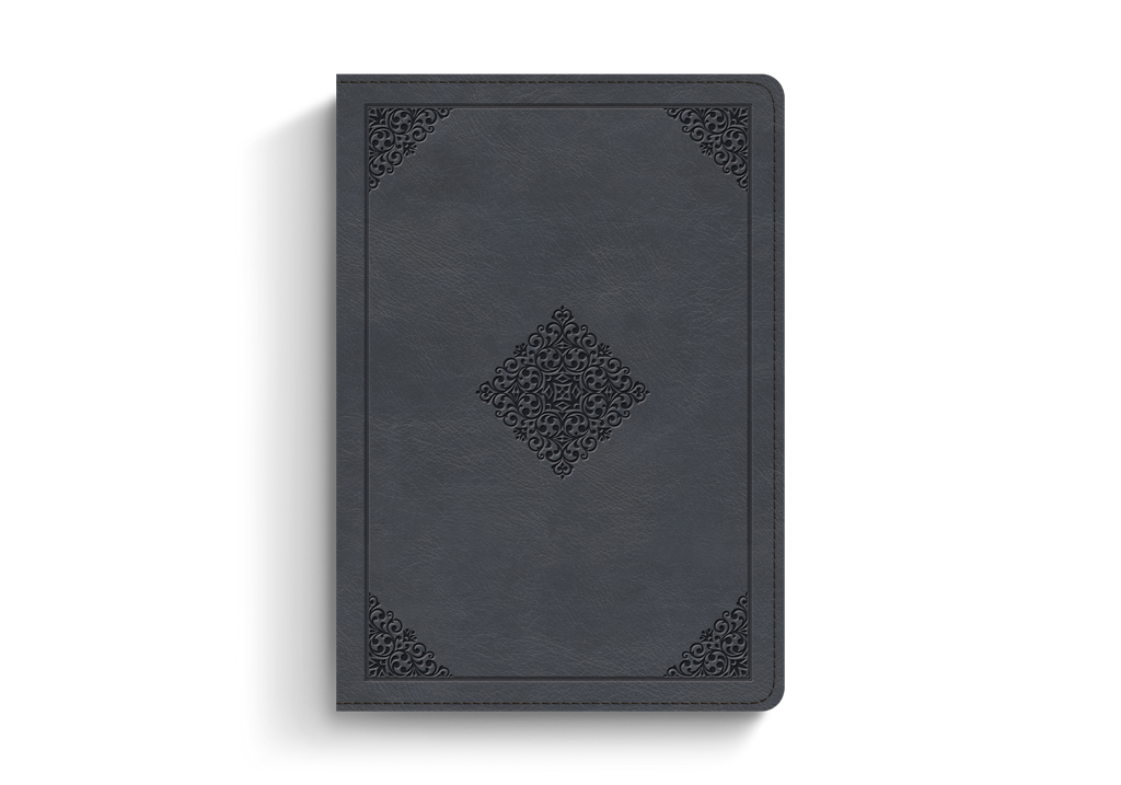 ESV Large Print Wide Margin Bible (Trutone, Slate Blue, Ornament Design)