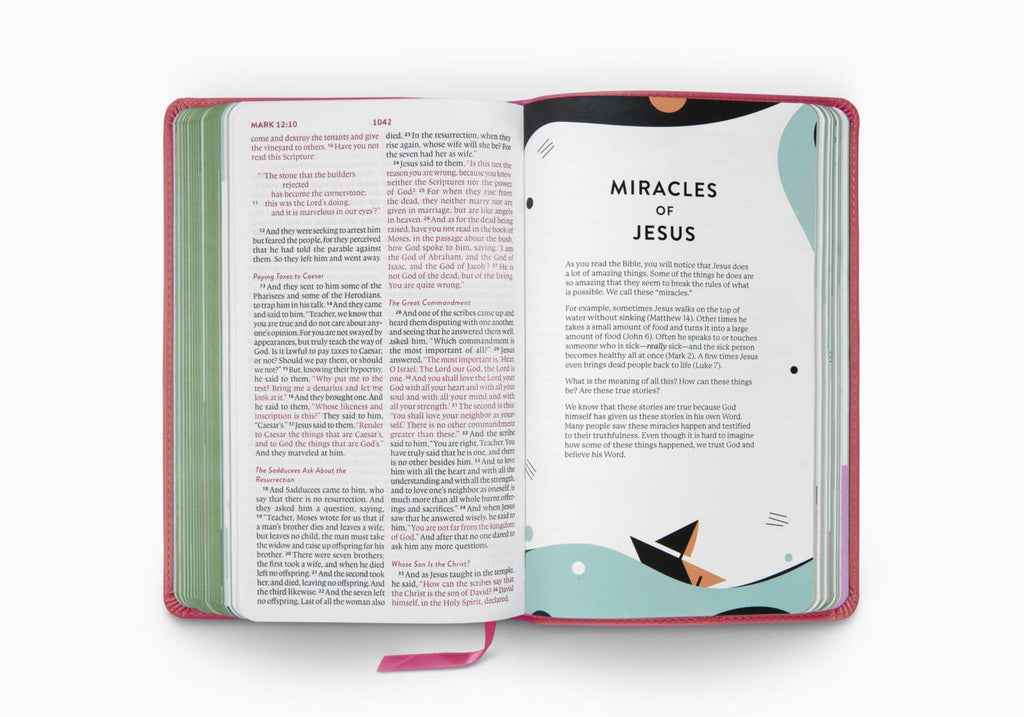 ESV Kid’s Bible Thinline The True Vine