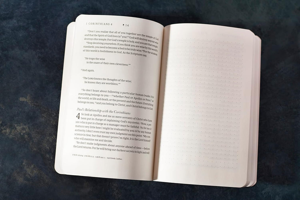 NLT Filament Journaling Collection The Chronological Letters of Paul Volume 1