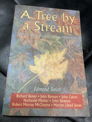 A Tree by a Stream - Unlock the Secrets of Active Meditation (Used Copy)