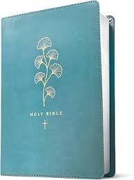NLT Premium Gift Bible, Filament Enabled, Teal Cross