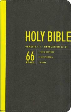 NLT Zips Bible, Canvas Red/Cream