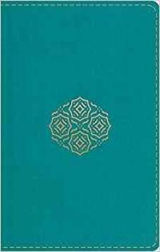 ESV LP Compact Trutone Teal