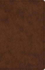 ESV Pastor's Bible - Brown