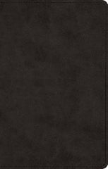 The Greek New Testament