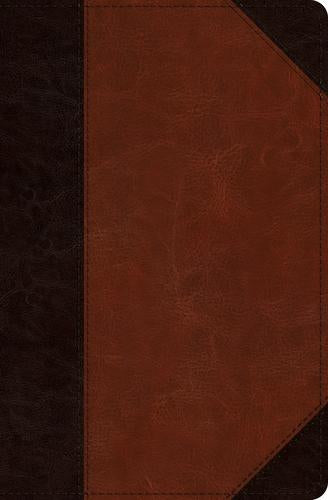 ESV Verse By Verse Ref Bible Portfolio Design