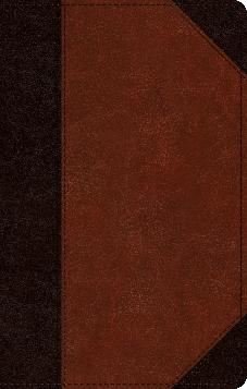 ESV Single Column Thinline Bible: TruTone®, Brown/Cordovan, Portfolio Design