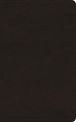 ESV New Christians Bible