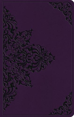 ESV Large Print Value Thinline
