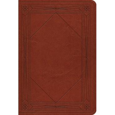 ESV Value Large Print Compact Bible Tan, Window Design