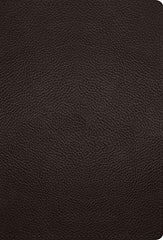 ESV Large Print Compact Bible (Buffalo Leather, Deep Brown)