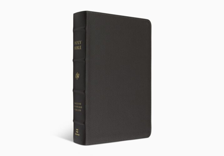 ESV Large Print Personal Size Bible (Buffalo Leather, Deep Brown)