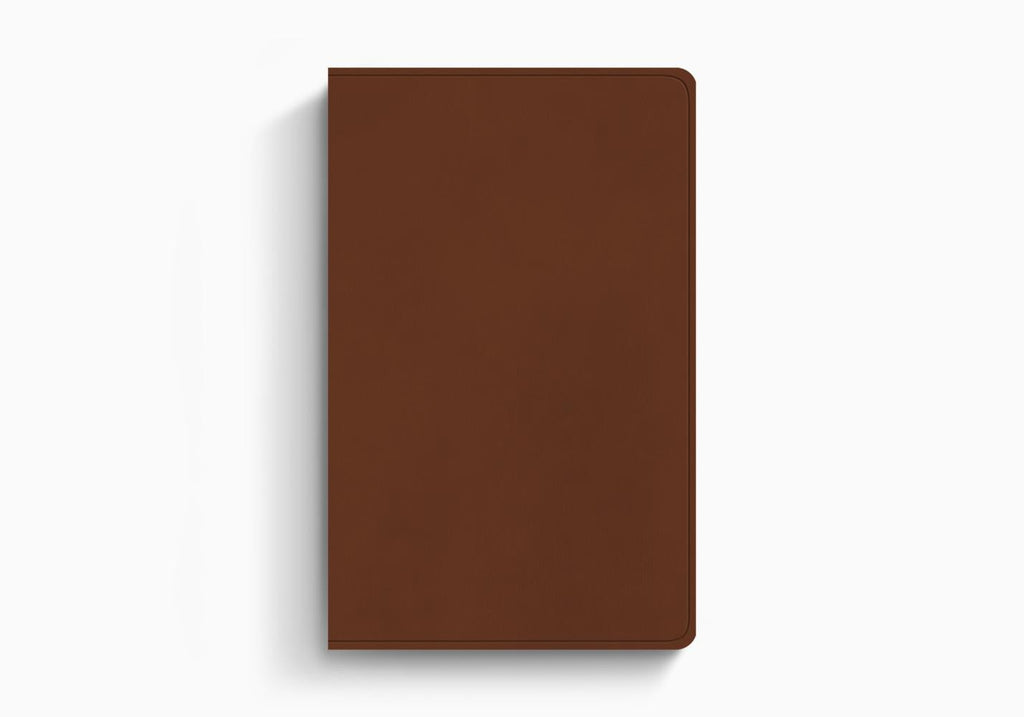 ESV Large Print Value Thinline Bible (TruTone, Camel)