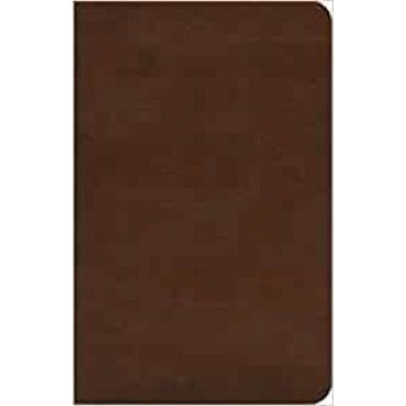 ESV Concise Study Bible™ (TruTone, Brown)