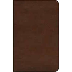 ESV Concise Study Bible™ (TruTone, Brown)
