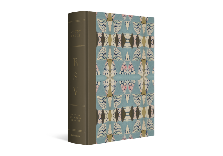ESV Study Bible®, Artist Series