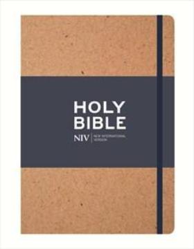 NIV Tan Single - Column Journaling Bible Anglicised