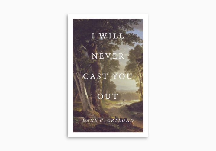 I Will Never Cast You Out 25 Tracts
