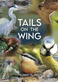 Tails on the Wing
