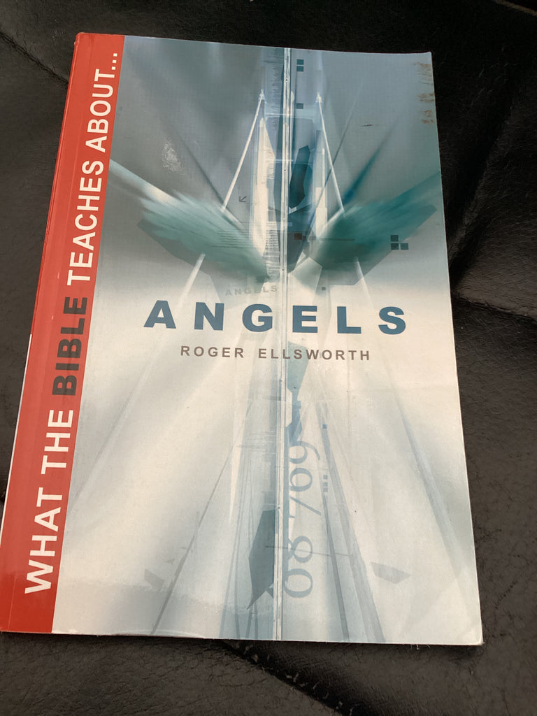What the Bible Teaches About Angels (Used Copy)