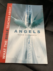 What the Bible Teaches About Angels (Used Copy)