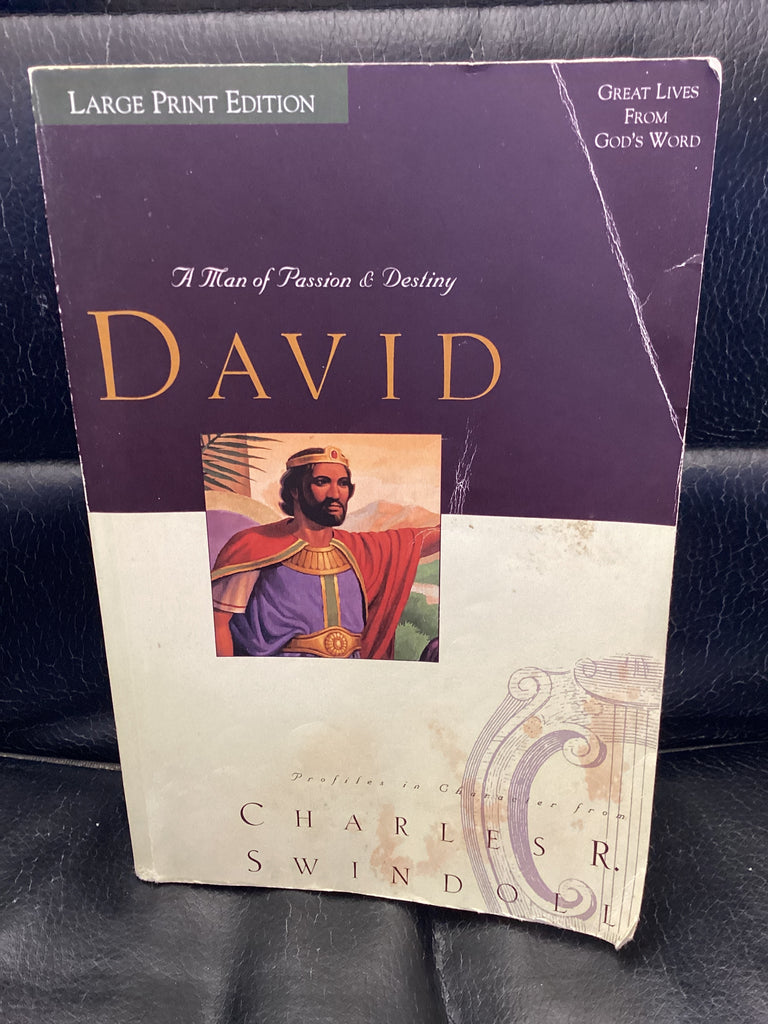 David: A Man of Passion and Destiny (Used Copy)