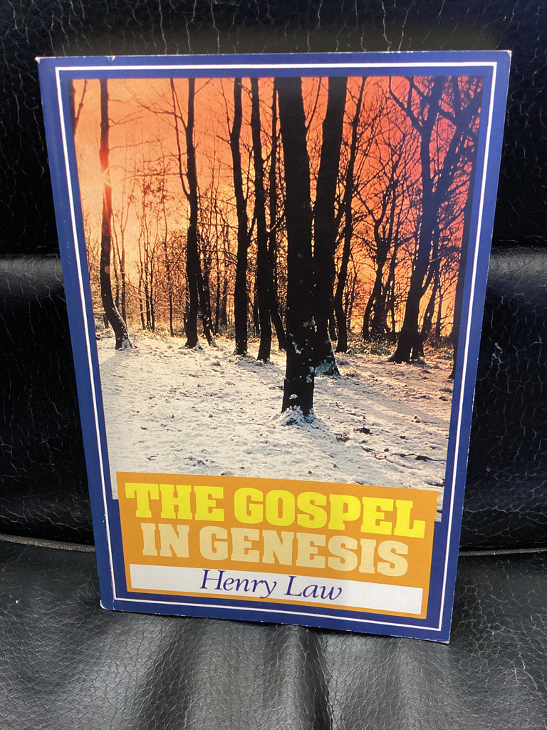 The Gospel in Genesis (Used Copy)