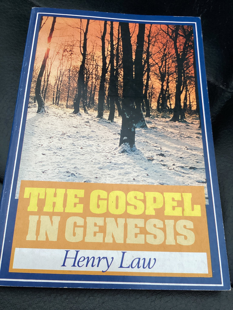 The Gospel in Genesis (Used Copy)