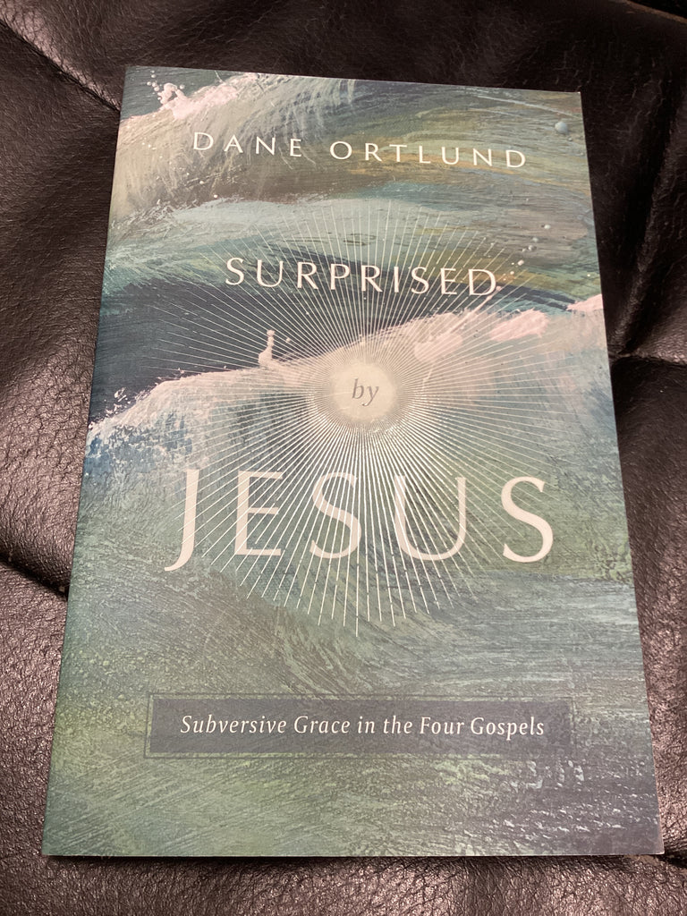 Surprised By Jesus (Used Copy)