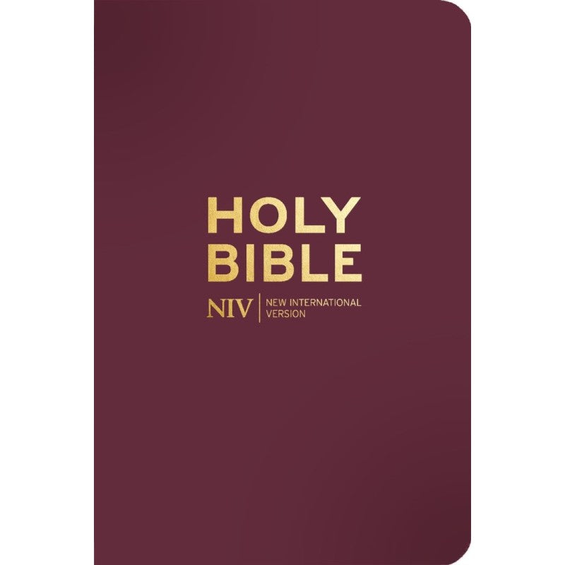 NIV Pocket Mulberry Bible with Gold Zip