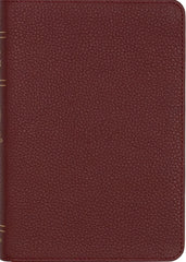 (LSB) Legacy Standard Bible, Compact Edition - Burgundy, Cowhide