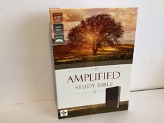 The Amplitude Study Bible (John Gowan Collection)