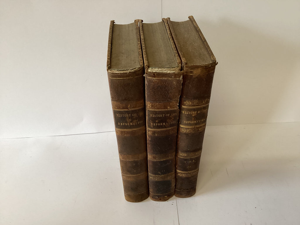 History of the Reformation in the Sixteenth Century (John Gowan Collection)