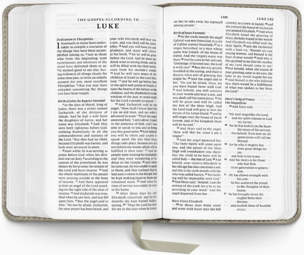 ESV Pocket Bible (TruTone, Stone, Branch Design)