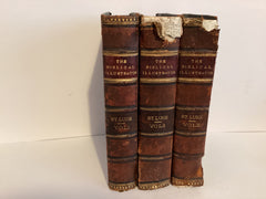 The Biblical Illustrator: St. Luke (Volumes 1,2&3) (John Gowan Collection)
