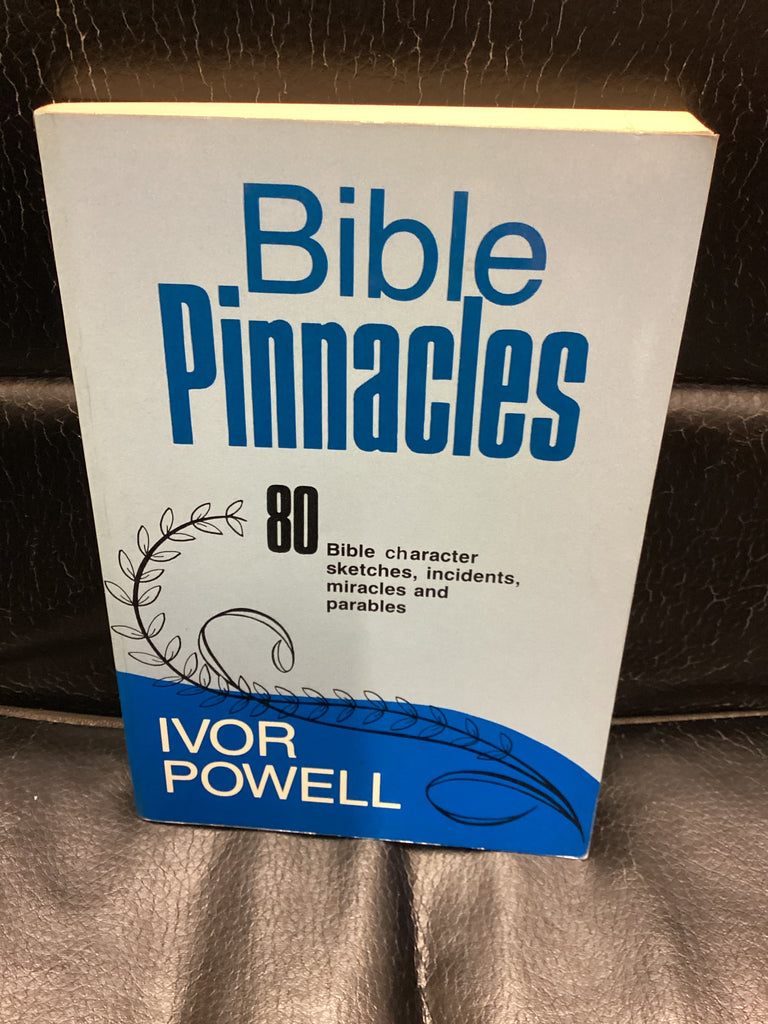Bible Pinnacles (Used Copy)