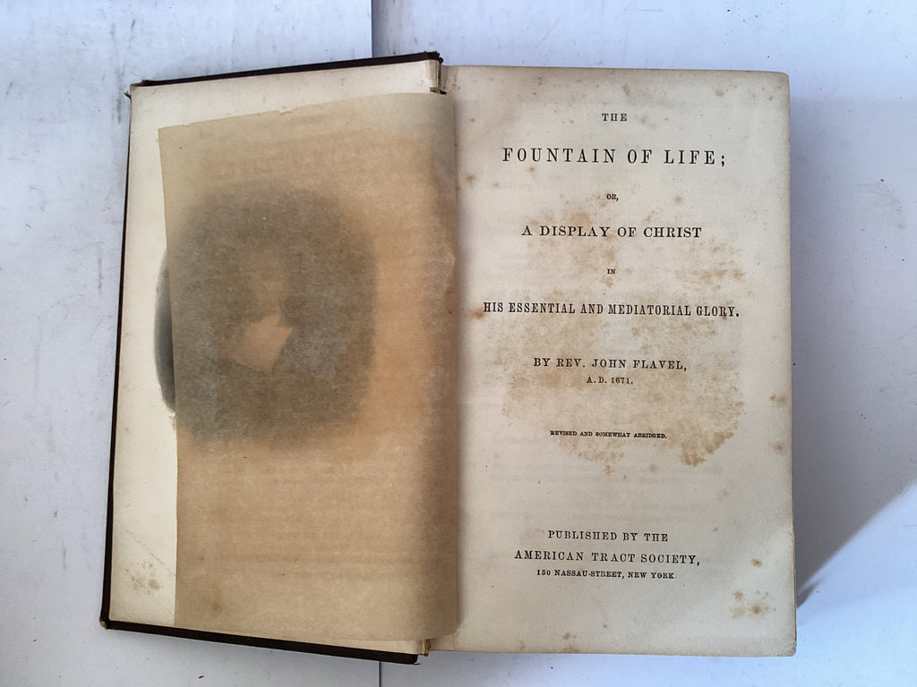 The Fountain of Life (The John Gowan Collection)