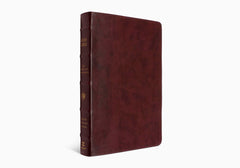 ESV Bible with Creeds & Confessions