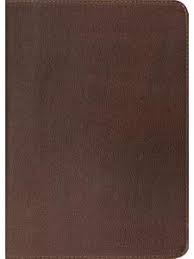 ESV Study Bible (Cowhide, Dark Brown)