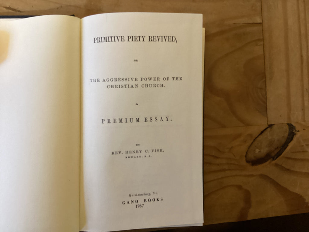 Primitive Piety Revived (The John Gowan Collection)