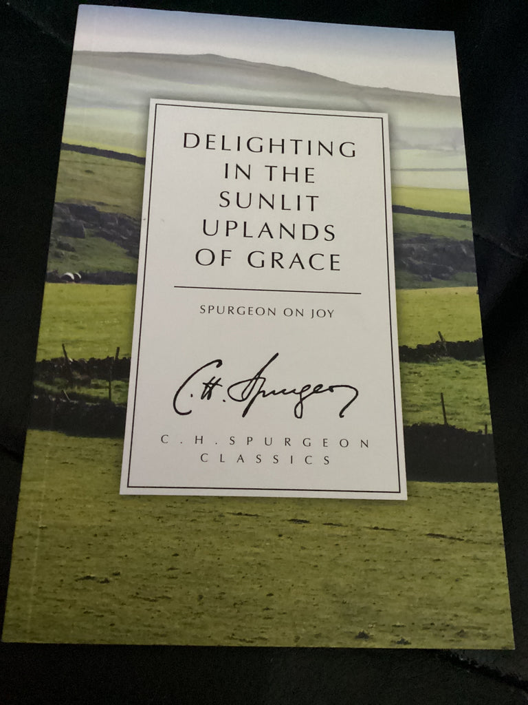 Delighting In the Sunlit Uplands of Grace - Spurgeon on Joy (Used Copy)