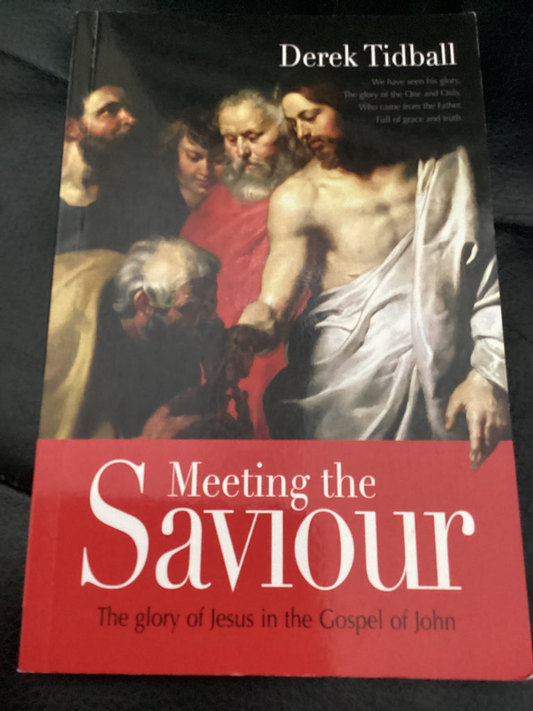 Meeting the Saviour - The Glory of Jesus in the Gospel of John (Used Copy)