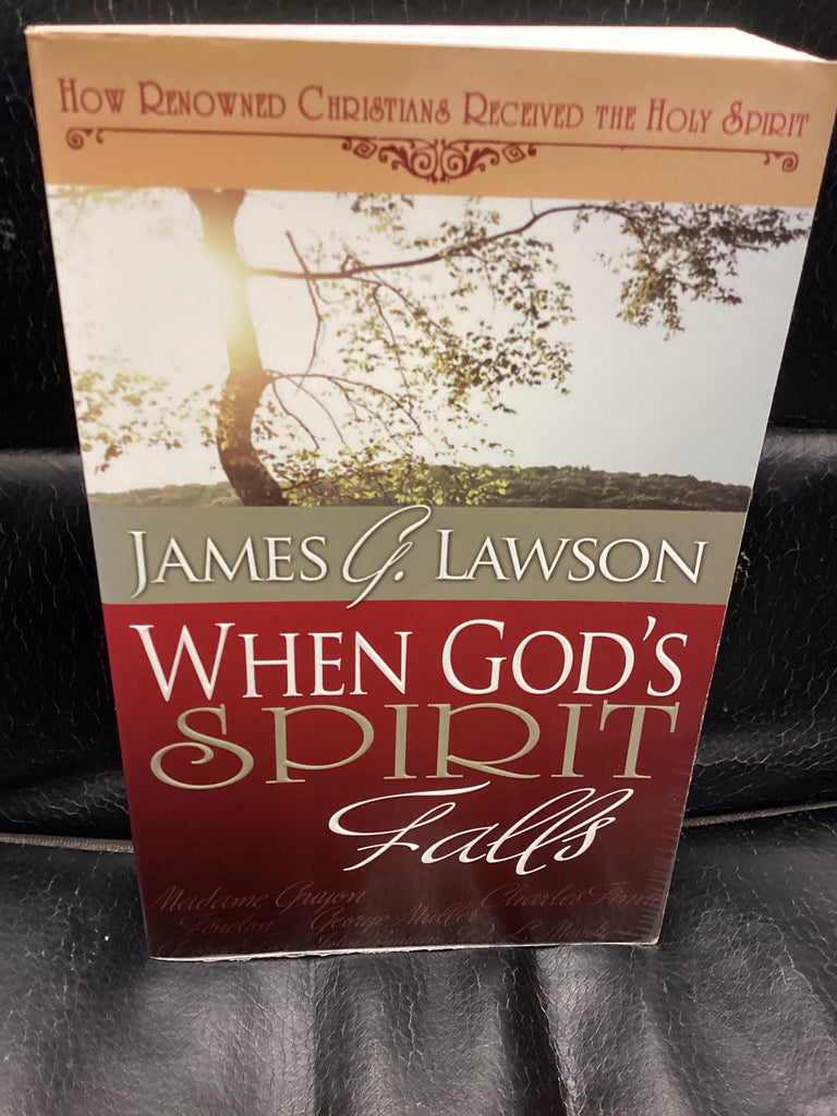 When God's Spirit Falls (Used Copy)