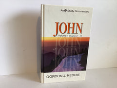 John: Volume 1 Chapters 1-12 (John Gowan Collection)