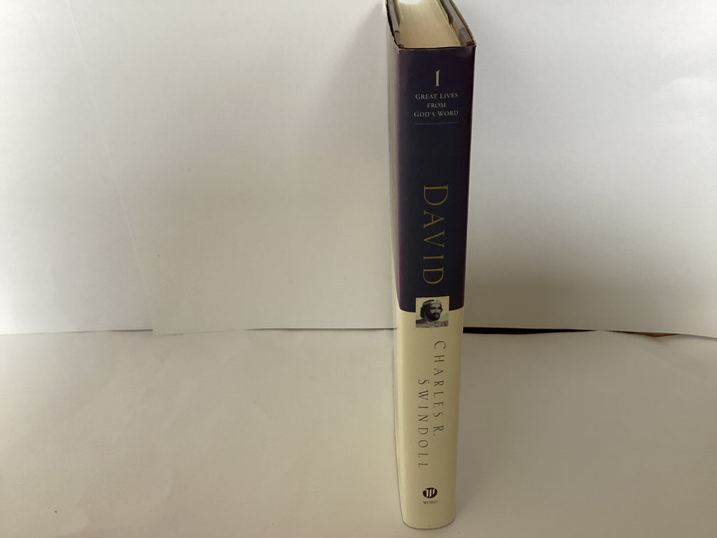 David: Man of Passion & Destiny (John Gowan Collection)