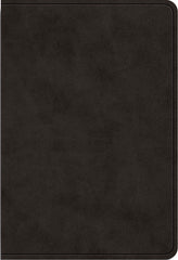 ESV Value Large Print Compact Bible - TruTone, Black