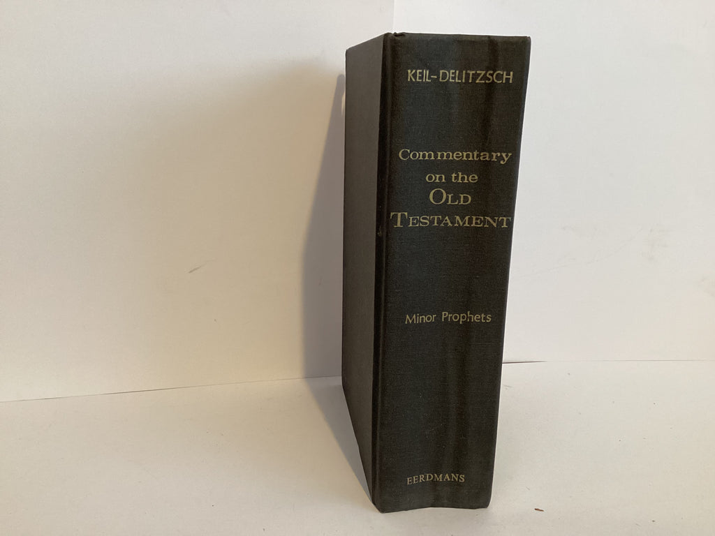 Minor Prophets : Volume 10 (John Gowan Collection)